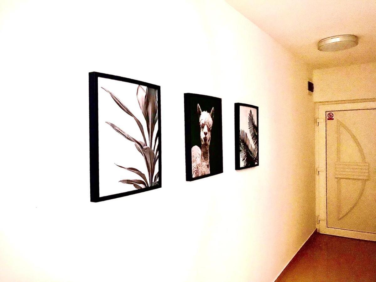 Vila Palit 497 D Apartment E Zewnętrze zdjęcie
